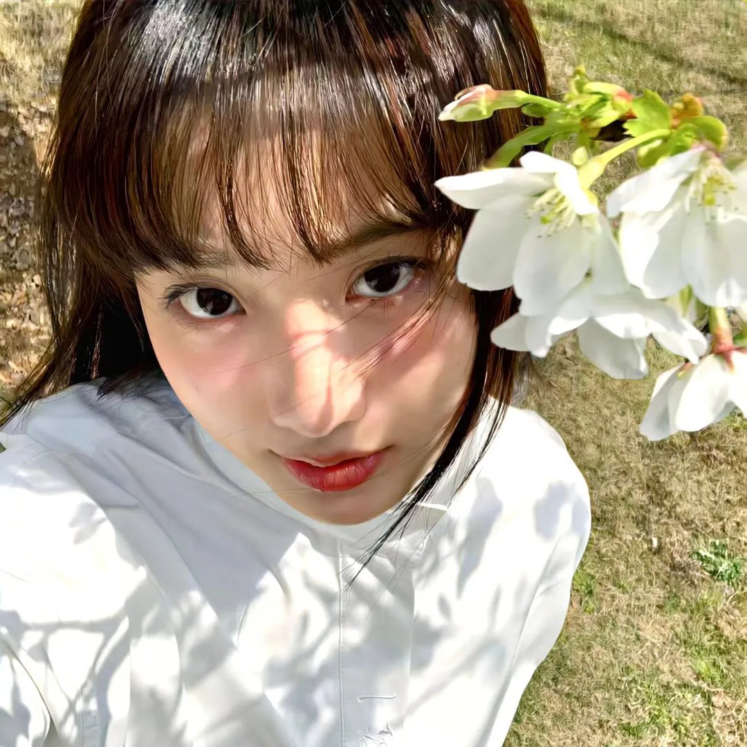 站立的动物故事